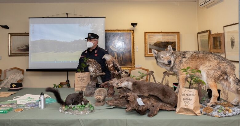 “Befana della Biodiversità”, Carabinieri forestali