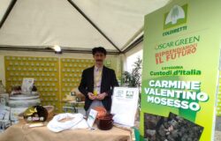 COLDIRETTI, Premio 