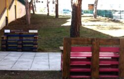 Campobasso, area verde, cani,