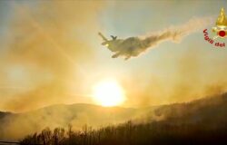 INCENDIO, fuoco, bosco, Vigili del fuoco