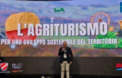 bit cia molise