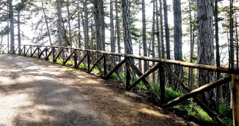 Campobasso, AREE VERDI, Collina di San Giovannello, riqualificazione ambientale