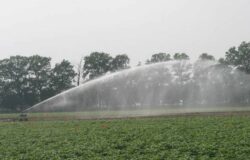 Giornata Mondiale dell’Acqua, Coldiretti Molise