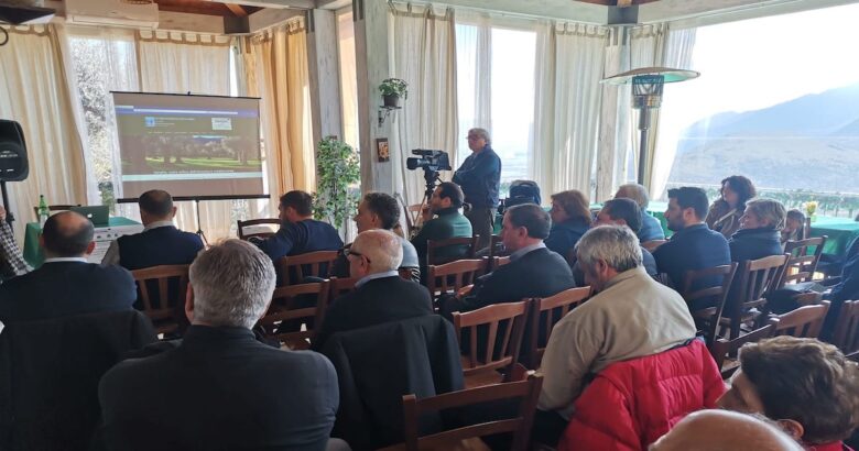 VENAFRO, Cross Border Olive Plus, olivicoltura mediterranea, parco dell'olivo