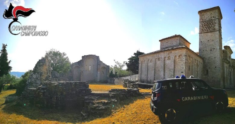 Agricoltore, furto, Carabinieri, ladri