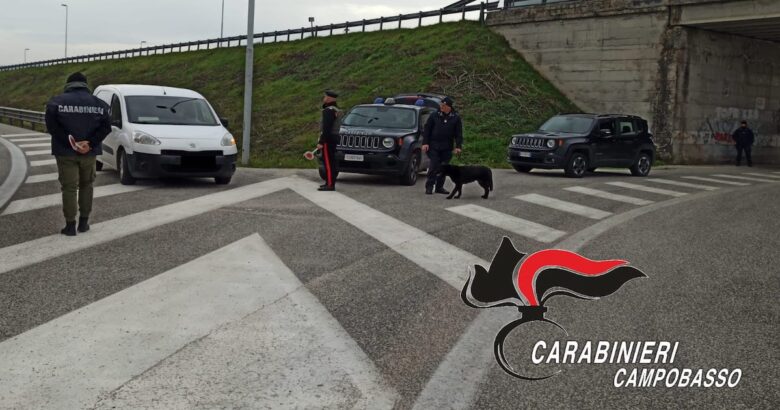 Controlli Carabinieri, carte di circolazione ritirate, contravvenzioni, perquisizioni, giovane, denunciato, pena sostitutiva