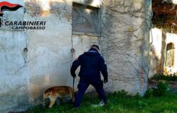 Tentata estorsione, danneggiamento, arrestato