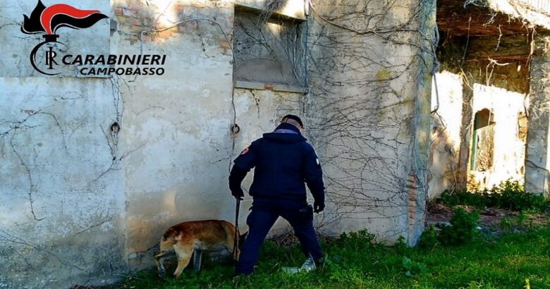 Tentata estorsione, danneggiamento, arrestato