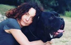 ISERNIA, Violenze, operatori sanitari, Omceo