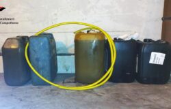ruba, gasolio, autobus, arrestato, furto aggravato