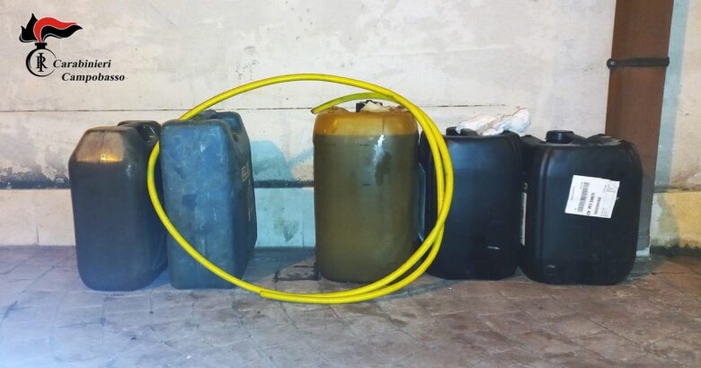 ruba, gasolio, autobus, arrestato, furto aggravato