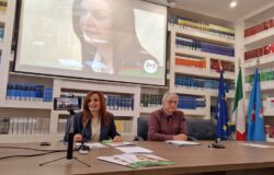 Fanelli, bilancio, fine legislatura, Autonomia differenziata