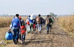 Giornata Mondiale del Rifugiato, Sai, Venafro