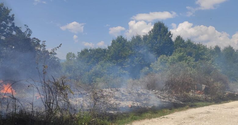 Incendio, cimitero, Vigili del fuoco