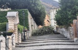 venafro, maltempo, albero, scalette