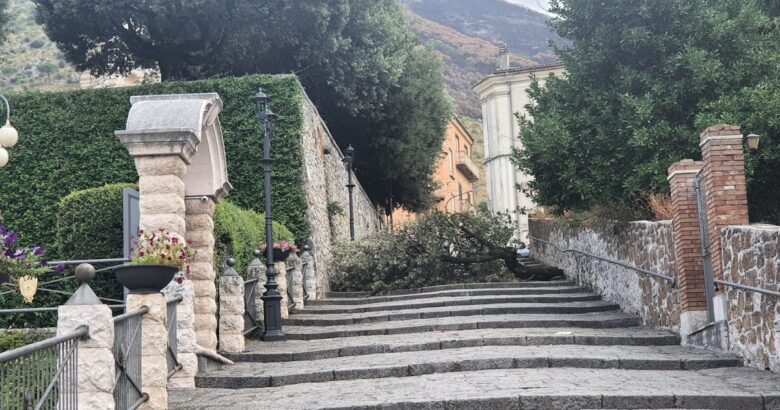 venafro, maltempo, albero, scalette