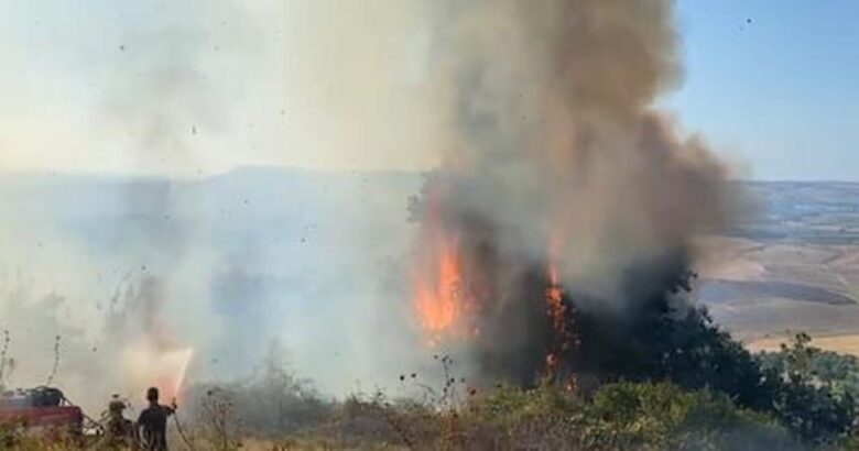 incendio-basso-molise-fiamme-abitazioni-canadair