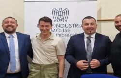 Confindustria Molise, Gruppo Giovani, direttivo