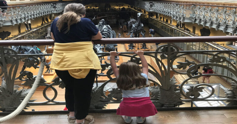 Famu, famiglie, Museo, Università, Pesche, volontari, Aido