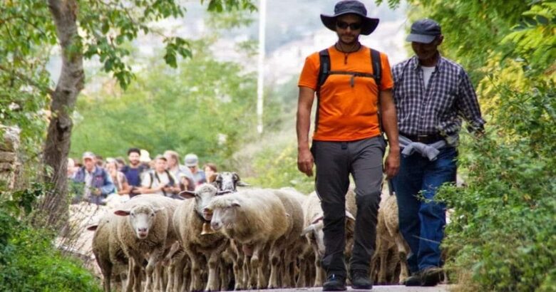 Attraverso il Molise , trekking, tratturi, programma