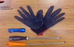 Attrezzi, scasso, auto, denunciati