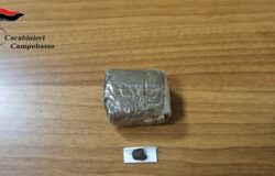 Beccato, hashish, recidivo, arrestato