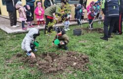 Giornata Nazionale degli Alberi, Carabinieri Forestali, piante, scuole 