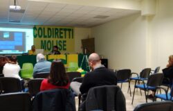 Infortuni sul lavoro, malattie professionali, Epaca-Coldiretti Molise, Nursind