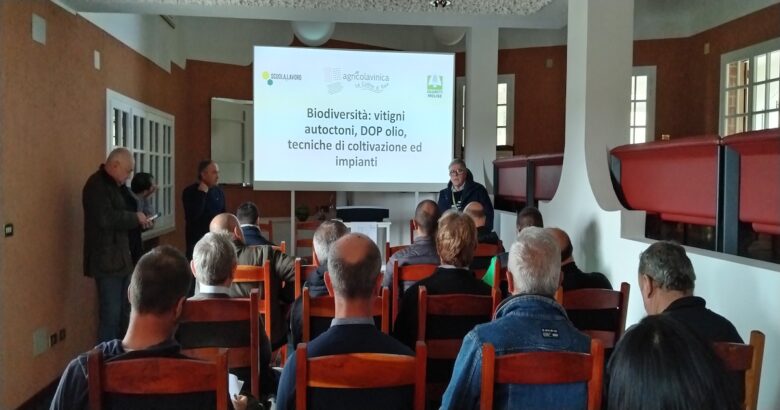 progetto-agrismart-coldiretti-molise-biodiversita-vitigni-autoctoni-dop-olio-tecniche-di-coltivazione