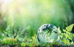 transizione ecologica