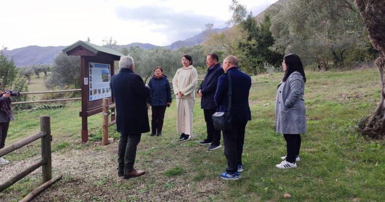 venafro-parco-regionale-dellolivo-ambasciatore-cinese-fao-delegazione