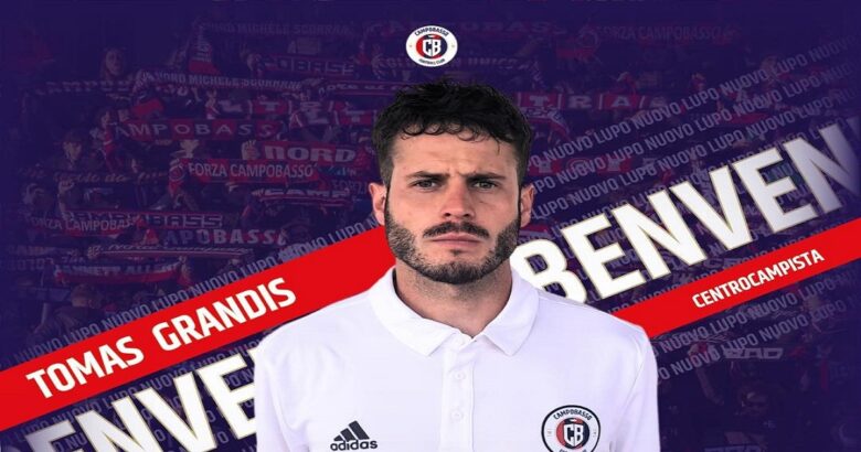 Calcio, serie D, Campobasso, Grandis, centrocampista