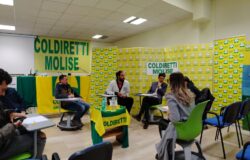 Coldiretti Molise, giovani, imprenditori, molisani