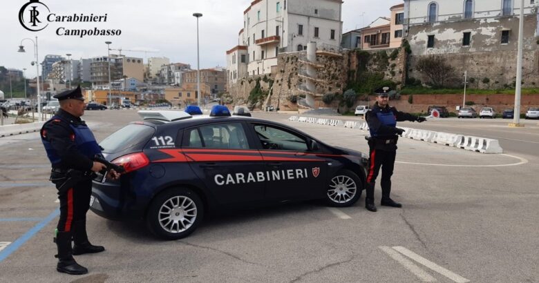 Nascondeva in casa, sostanze stupefacenti, arrestato, Carabinieri