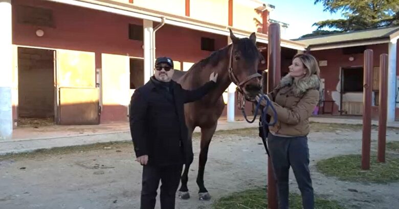 Sport equestre, protocollo d'intesa, Università del Molise, FISE Molise