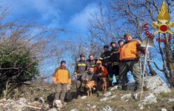 cani, cunicolo, Vigili del fuoco