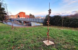 Progetto Ethosland, messi a dimora, alberi, Campobasso