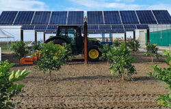 Agricoltura, Coldiretti Molise, Energie rinnovabili