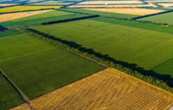 Agricoltura, misure a superficie, Coldiretti Molise