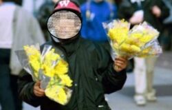 Festa della Donna, Confcommercio, ambulanti abusivi