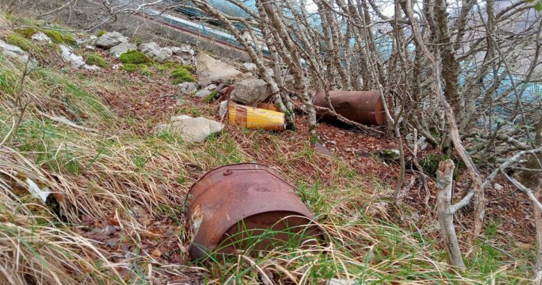 Rifiuti ingombranti, centrale Enel, No Pizzone II”, tutela dell’ambiente