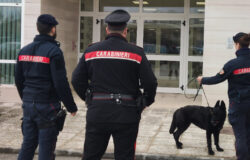 controlli, anti-droga, scuole, studenti, hashish