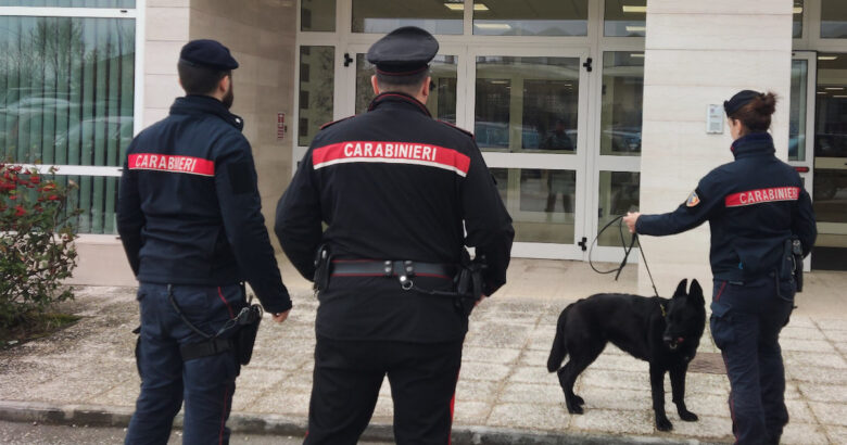 controlli, anti-droga, scuole, studenti, hashish