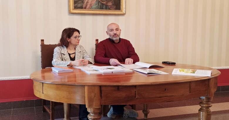 Campobasso, Bilancio Arboreo, piante