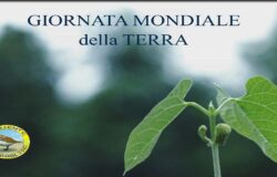 Laboratori, piantumazioni di alberi, natura, Ambiente Basso Molise