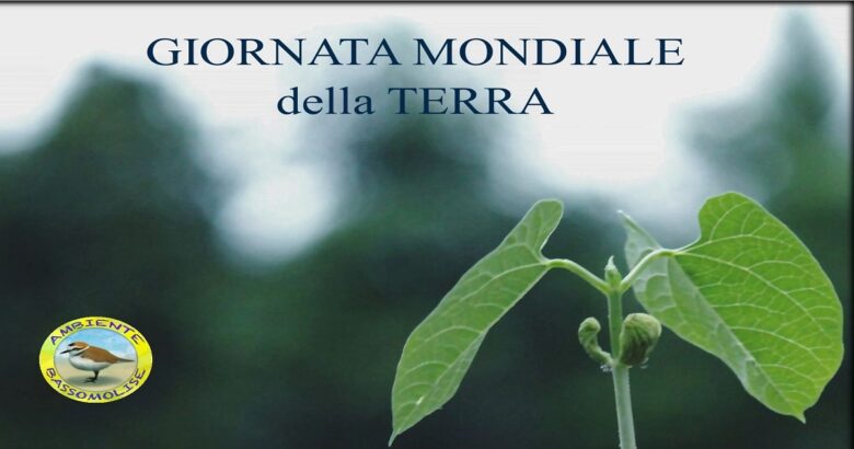 Laboratori, piantumazioni di alberi, natura, Ambiente Basso Molise