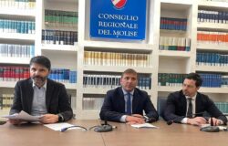 REGIONE Molise, Omo-transfobia, M5S,