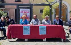 comunali, Campobasso, centro storico, Marialuisa Forte