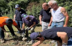 cooperativa lai, orto, scuola, studenti