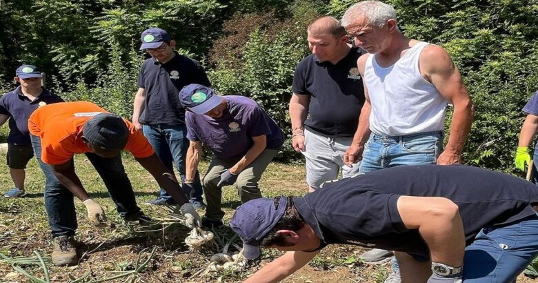 cooperativa lai, orto, scuola, studenti